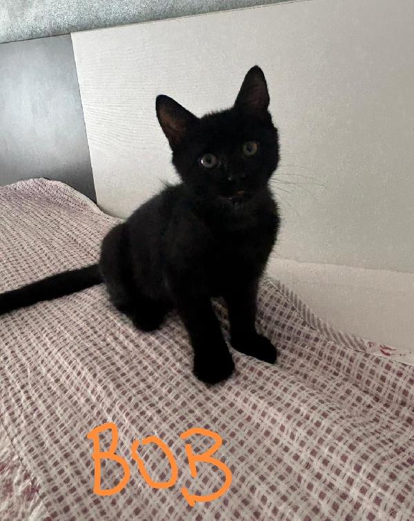 Bob e Bea  Foto 2